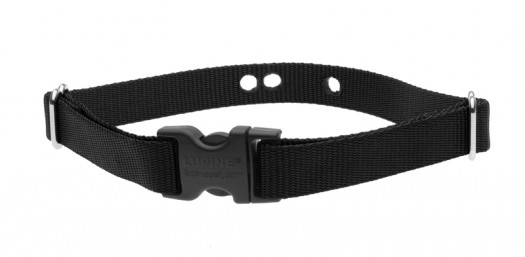 L méret 1" Fekete szíj (50-80 cm)</br>Dogwatch vevőegységhez