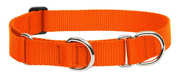 Fojtó nyakörv narancssárga (49-68 cm)