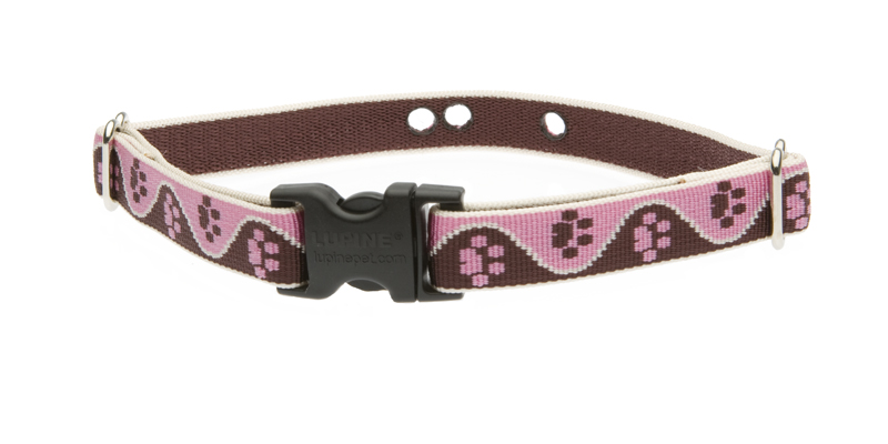 XS méret 3/4\" Tickled Pink nyakörv (23-30 cm)</br>Dogwatch vevőe