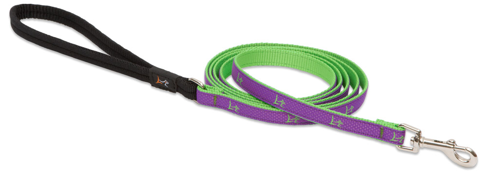 Póráz kis termetű kutyáknak Hampton Purple<br> S méret (183 cm)