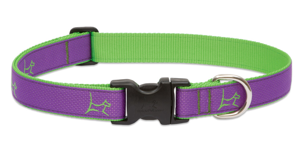 Nyakörv nagy termetű kutyáknak CLUB Hampton Purple<br>(41-71 cm)