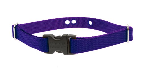 M méret 1\" Lila szíj (40-60 cm)</br>Dogwatch vevőegységhez