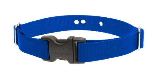 XS méret 3/4" Kék szíj (25-30 cm)</br>Dogwatch vevőegységhez