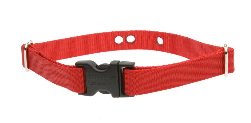 S méret 1\" Piros szíj (30-45 cm)</br> Dogwatch vevőegységhez