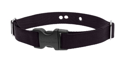 XS méret 3/4" Fekete szíj (25-30 cm) Dogwatch vevőegységhez</br>