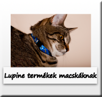 Lupine termékek macskáknak